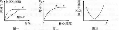 中学生物学科知识与教学能力,模拟考试,2021年教师资格证考试《生物学科知识与教学能力》（高级中学）模拟试卷4