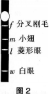 中学生物学科知识与教学能力,模拟考试,2021年教师资格证考试《生物学科知识与教学能力》（高级中学）模拟试卷4