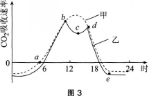 中学生物学科知识与教学能力,模拟考试,2021年教师资格证考试《生物学科知识与教学能力》（高级中学）模拟试卷4