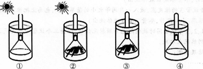 中学生物学科知识与教学能力,预测试卷,2021年教师资格证考试《生物学科知识与教学能力》（初级中学）名师预测卷1