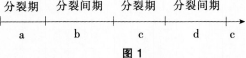 中学生物学科知识与教学能力,预测试卷,2021年教师资格证考试《生物学科知识与教学能力》（初级中学）名师预测卷2