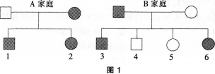 中学生物学科知识与教学能力,模拟考试,2021年教师资格证考试《生物学科知识与教学能力》（初级中学）模拟试卷4