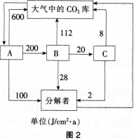 中学生物学科知识与教学能力,模拟考试,2021年教师资格证考试《生物学科知识与教学能力》（初级中学）模拟试卷4