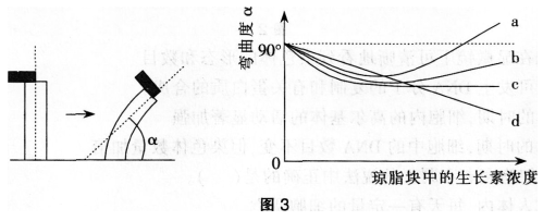 中学生物学科知识与教学能力,预测试卷,2021年教师资格证考试《生物学科知识与教学能力》（高级中学）名师预测卷4