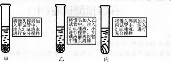 中学生物学科知识与教学能力,模拟考试,2021年教师资格证考试《生物学科知识与教学能力》（初级中学）模拟试卷3