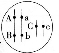 中学生物学科知识与教学能力,历年真题,2013年下半年教师资格证考试《生物学科知识与教学能力》（初级中学）真题