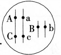 中学生物学科知识与教学能力,历年真题,2013年下半年教师资格证考试《生物学科知识与教学能力》（初级中学）真题