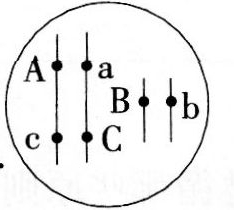 中学生物学科知识与教学能力,历年真题,2013年下半年教师资格证考试《生物学科知识与教学能力》（初级中学）真题