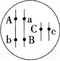 中学生物学科知识与教学能力,历年真题,2013年下半年教师资格证考试《生物学科知识与教学能力》（初级中学）真题