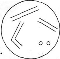 中学生物学科知识与教学能力,历年真题,2014年上半年教师资格证考试《生物学科知识与教学能力》（初级中学）真题