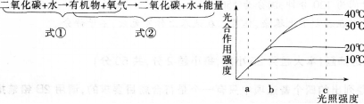 中学生物学科知识与教学能力,模拟考试,2021年教师资格证考试《生物学科知识与教学能力》（初级中学）模拟试卷2