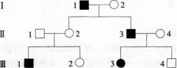 中学生物学科知识与教学能力,章节练习,基础复习,专项训练