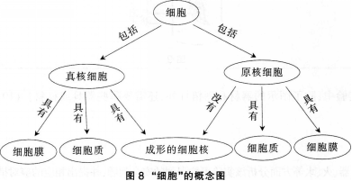 中学生物学科知识与教学能力,历年真题,2013年下半年教师资格证考试《生物学科知识与教学能力》（初级中学）真题