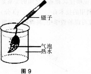 中学生物学科知识与教学能力,历年真题,2013年下半年教师资格证考试《生物学科知识与教学能力》（初级中学）真题