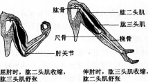 中学生物学科知识与教学能力,历年真题,2014年上半年教师资格证考试《生物学科知识与教学能力》（初级中学）真题