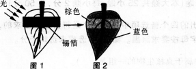 中学生物学科知识与教学能力,预测试卷,2021年教师资格证考试《生物学科知识与教学能力》（初级中学）名师预测卷4