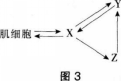 中学生物学科知识与教学能力,章节练习,基础复习,专项训练