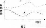 中学生物学科知识与教学能力,历年真题,2013年上半年教师资格证考试《生物学科知识与教学能力》（初级中学）真题