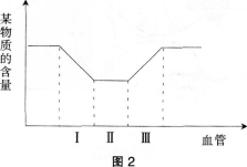 中学生物学科知识与教学能力,历年真题,2013年下半年教师资格证考试《生物学科知识与教学能力》（初级中学）真题