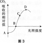 中学生物学科知识与教学能力,历年真题,2013年下半年教师资格证考试《生物学科知识与教学能力》（初级中学）真题