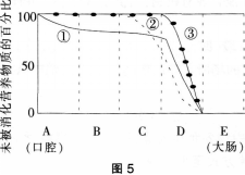 中学生物学科知识与教学能力,历年真题,2014年上半年教师资格证考试《生物学科知识与教学能力》（初级中学）真题