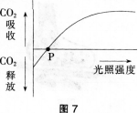 中学生物学科知识与教学能力,历年真题,2014年上半年教师资格证考试《生物学科知识与教学能力》（初级中学）真题