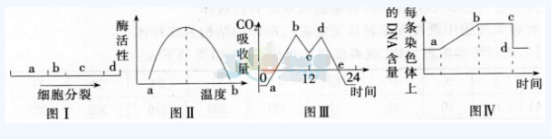 中学生物学科知识与教学能力,章节练习,基础复习,专项训练