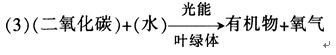 中学生物学科知识与教学能力,章节练习,基础复习,专项训练