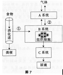 中学生物学科知识与教学能力,章节练习,基础复习,专项训练