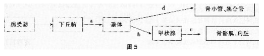 中学生物学科知识与教学能力,章节练习,基础复习,专项训练