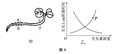 中学生物学科知识与教学能力,章节练习,基础复习,专项训练