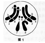 中学生物学科知识与教学能力,高分通关卷,2021年教师资格证考试《生物学科知识与教学能力》（初级中学）高分通关卷2