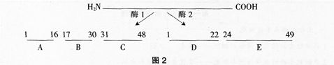 中学生物学科知识与教学能力,高分通关卷,2021年教师资格证考试《生物学科知识与教学能力》（高级中学）高分通关卷1