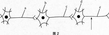 中学生物学科知识与教学能力,高分通关卷,2021年教师资格证考试《生物学科知识与教学能力》（高级中学）高分通关卷1