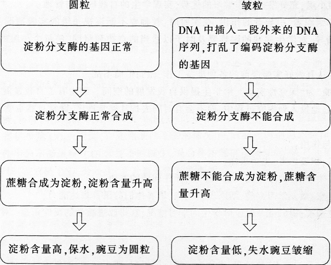 中学生物学科知识与教学能力,高分通关卷,2021年教师资格证考试《生物学科知识与教学能力》（高级中学）高分通关卷1