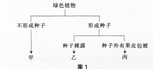 中学生物学科知识与教学能力,高分通关卷,2021年教师资格证考试《生物学科知识与教学能力》（高级中学）高分通关卷2