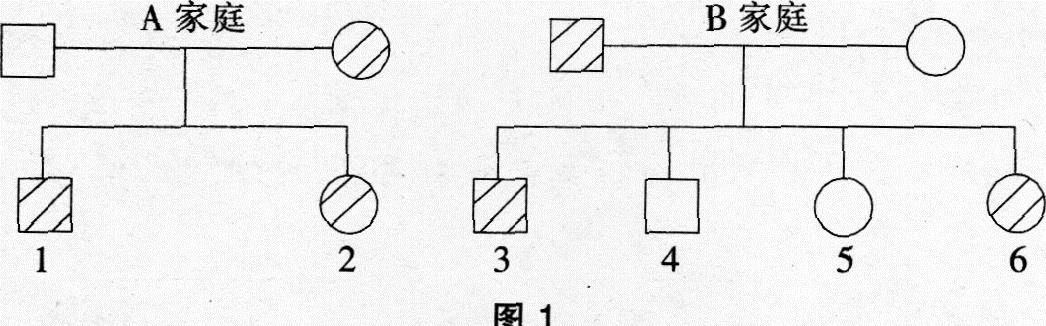 中学生物学科知识与教学能力,高分通关卷,2021年教师资格证考试《生物学科知识与教学能力》（高级中学）高分通关卷2