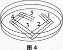 中学生物学科知识与教学能力,高分通关卷,2021年教师资格证考试《生物学科知识与教学能力》（高级中学）高分通关卷2