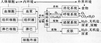 中学生物学科知识与教学能力,高分通关卷,2021年教师资格证考试《生物学科知识与教学能力》（高级中学）高分通关卷2