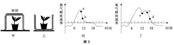 中学生物学科知识与教学能力,模拟考试,2021年教师资格证考试《生物学科知识与教学能力》（高级中学）模拟试卷7