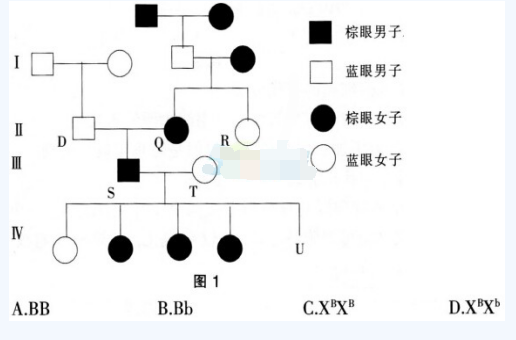 中学生物学科知识与教学能力,黑钻押题,2022年下半年教师资格《高中生物学科知识与教学能力》黑钻押题