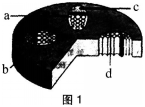 中学生物学科知识与教学能力,历年真题,2018年下半年教师资格证考试《生物学科知识与教学能力》（初级中学）真题