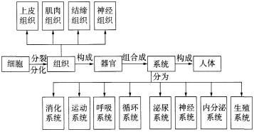 中学生物学科知识与教学能力,历年真题,2018年下半年教师资格证考试《生物学科知识与教学能力》（初级中学）真题