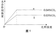 中学生物学科知识与教学能力,历年真题,2018年上半年教师资格证考试《生物学科知识与教学能力》（初级中学）真题