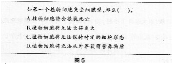 中学生物学科知识与教学能力,历年真题,2017年下半年教师资格证考试《生物学科知识与教学能力》（高级中学）真题