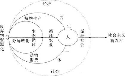 中学地理学科知识与教学能力,历年真题,2017下半年教师资格考试《地理学科知识与教学能力》初中真题试卷