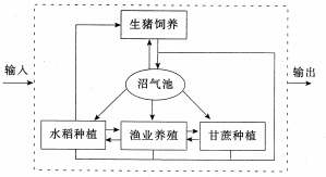 中学地理学科知识与教学能力,真题专项训练,初中地理专项训练,地理科学知识与运用