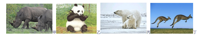 中学地理学科知识与教学能力,真题专项训练,初中地理专项训练,地理科学知识与运用
