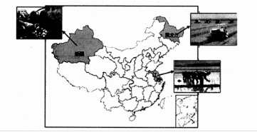 中学地理学科知识与教学能力,真题专项训练,高中地理专项训练,地理科学知识与运用