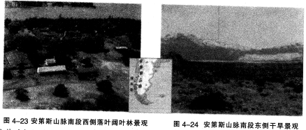 中学地理学科知识与教学能力,真题专项训练,初中地理专项训练,教学设计